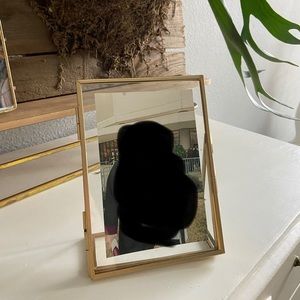 Gold picture frame- 4X6 photo inside